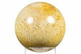 Polished Petrified Palmwood (Palmoxylon) Sphere - Texas #311718-1